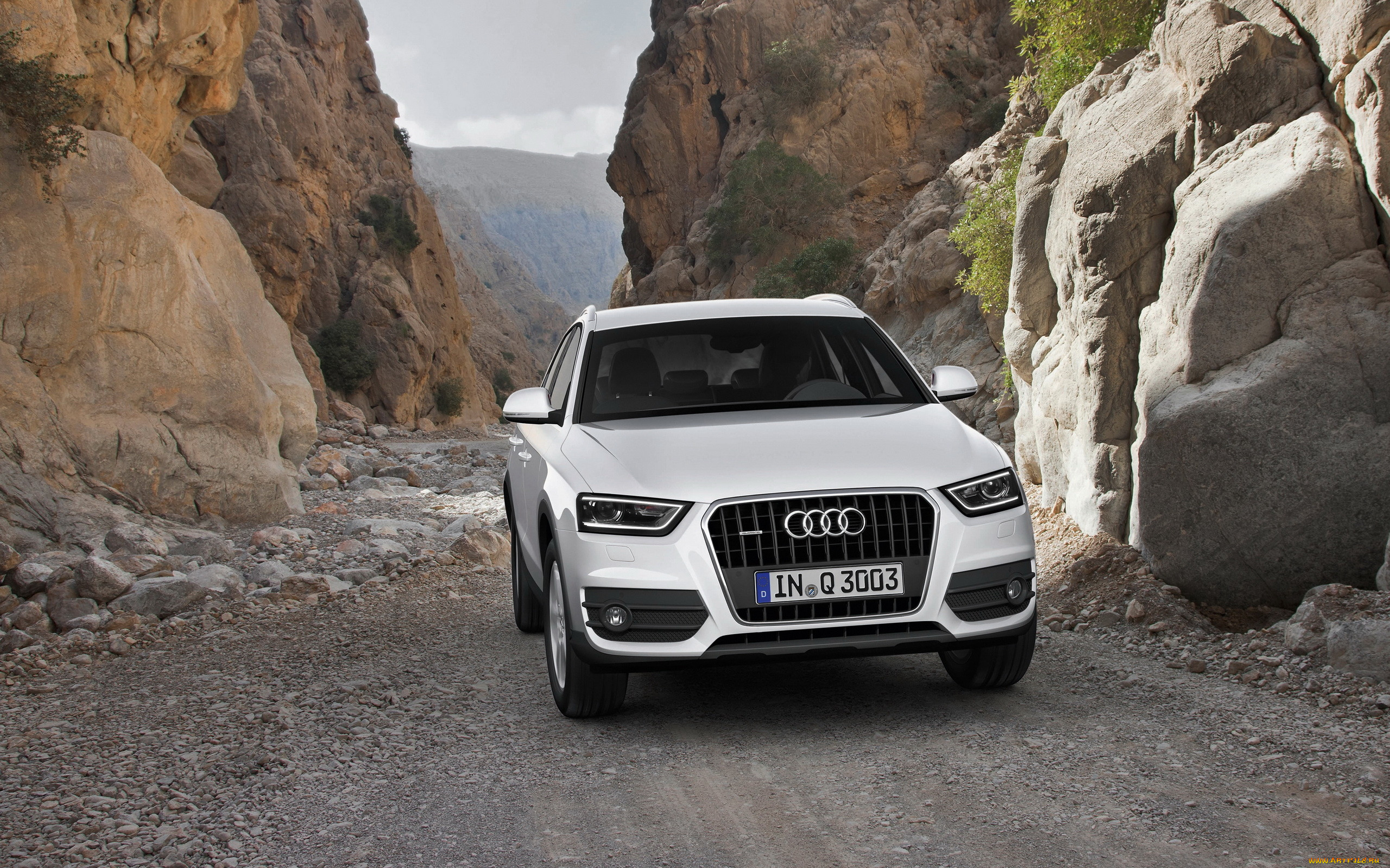 audi q3, , audi, , , 